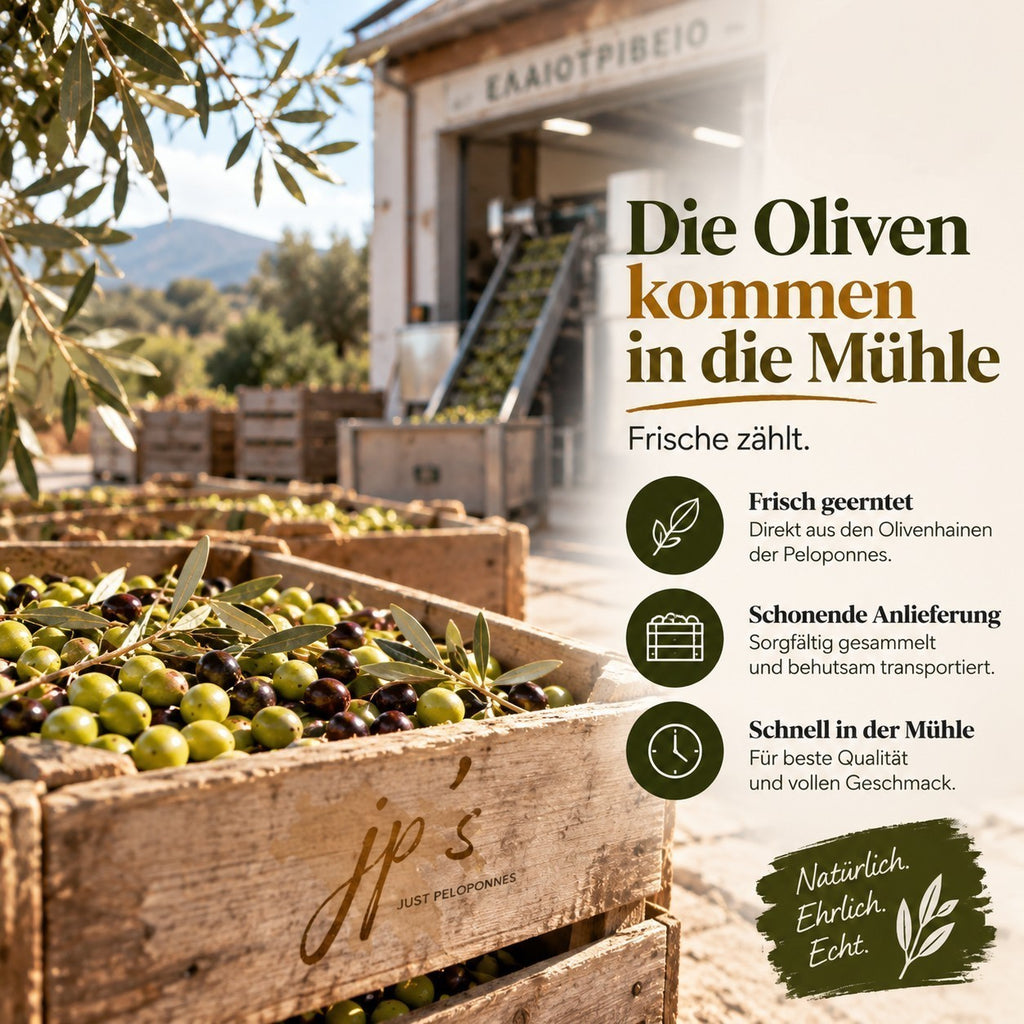 jp's Olivenöl – Familien Paket