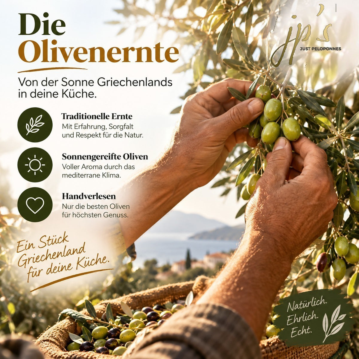 jp's Olivenöl – Familien Paket