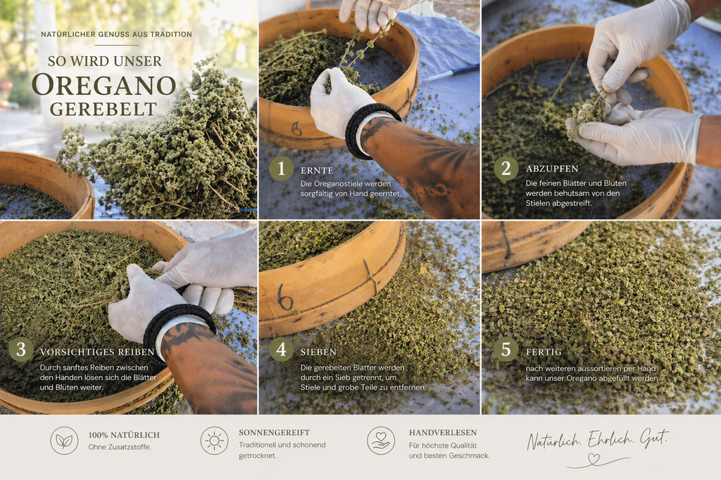jp's Griechischer Berg-Oregano