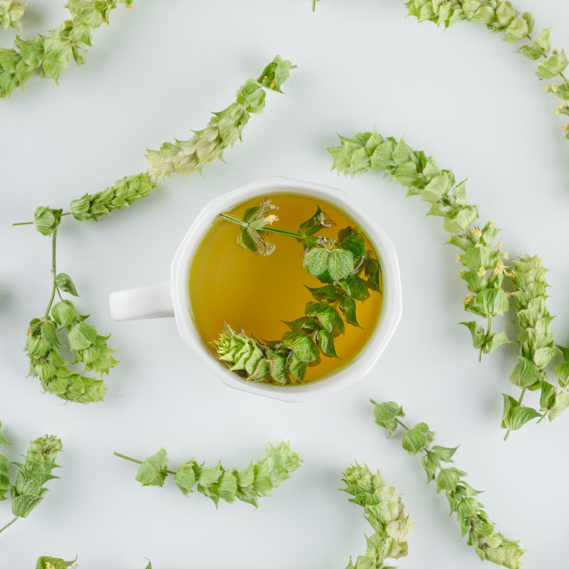 jp's Griechischer Bergtee